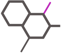 RNA-Oligonukleotide
